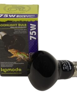 Nachtgloed Lamp Es 75 Watt
