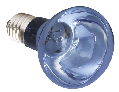 Neodymium Daglicht Lamp Es 75 Watt