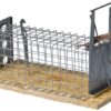 Houten Muizenval Recht 1-Kleps 16 Cm