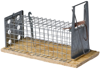 Houten Muizenval Recht 1-Kleps 16 Cm