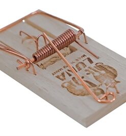 Muizenval Hout 9,5X5X2 Cm