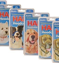Of Animals Halti Headcollar Zwart Nr 2