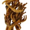 Kippenpoten Gerookt Bruin 1 Kg