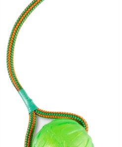 Swing 'N Fling Chew Bal Aan Koord 9 Cm
