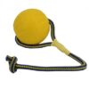 Swing 'N Fling Durafoam Fetch Bal Aan Koord Large 9 Cm