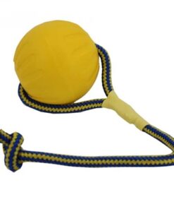 Swing 'N Fling Durafoam Fetch Bal Aan Koord Large 9 Cm