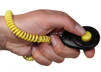 Clicker De Luxe Voor Training 6X4 Cm