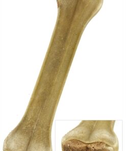 Geperst Bot Gevuld Met Rund 8 Inch 20 Cm 5 St