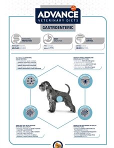 Veterinary Diet Dog Gastroentric Spijsvertering 12 Kg