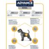 Veterinary Diet Dog Renal Nieren 12 Kg