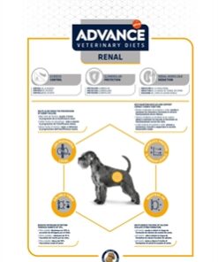Veterinary Diet Dog Renal Nieren 12 Kg