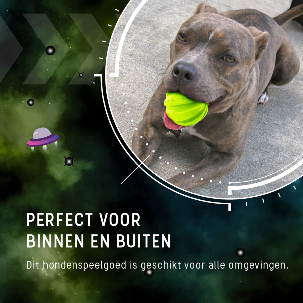 Dog Comets Hale Bopp Met Touw Groen