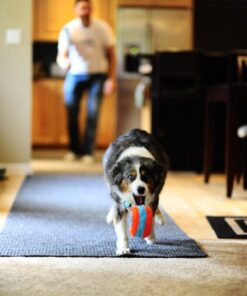 Chuckit! Indoor Roller
