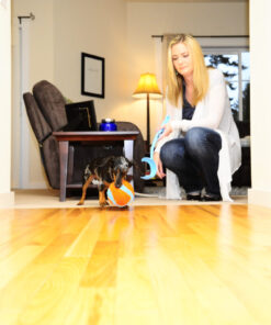 Chuckit! Indoor Ball