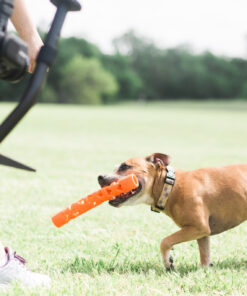Chuckit! Air Fetch Stick