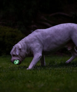 Chuckit! Air Glow Fetch Ball M (2-pack)