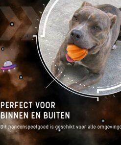Dog Comets Swift Tuttle Met Touw Oranje