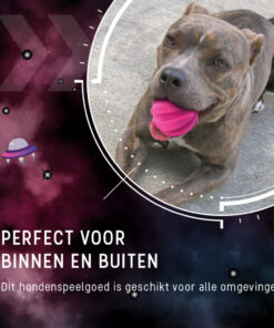 Dog Comets Halley Met Touw Roze