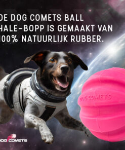 Dog Comets Halley Roze