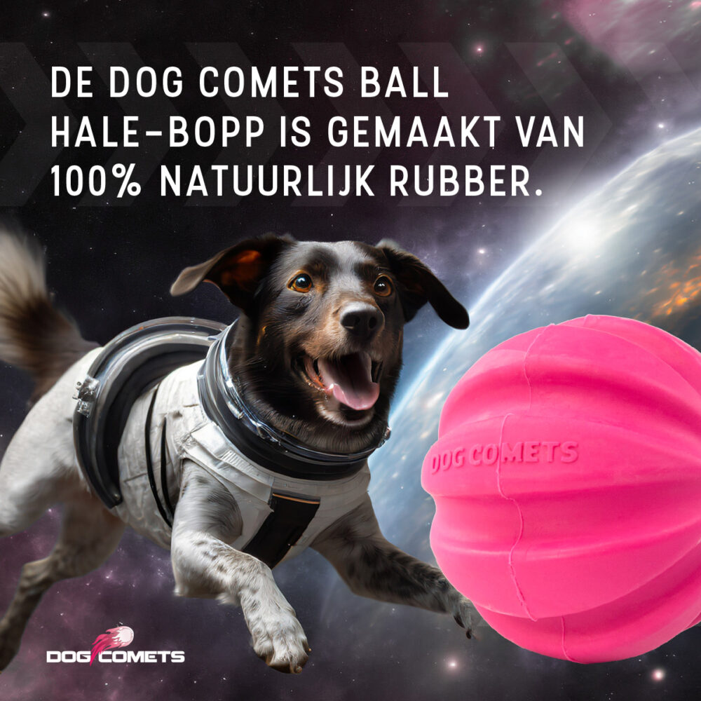 Dog Comets Halley Roze