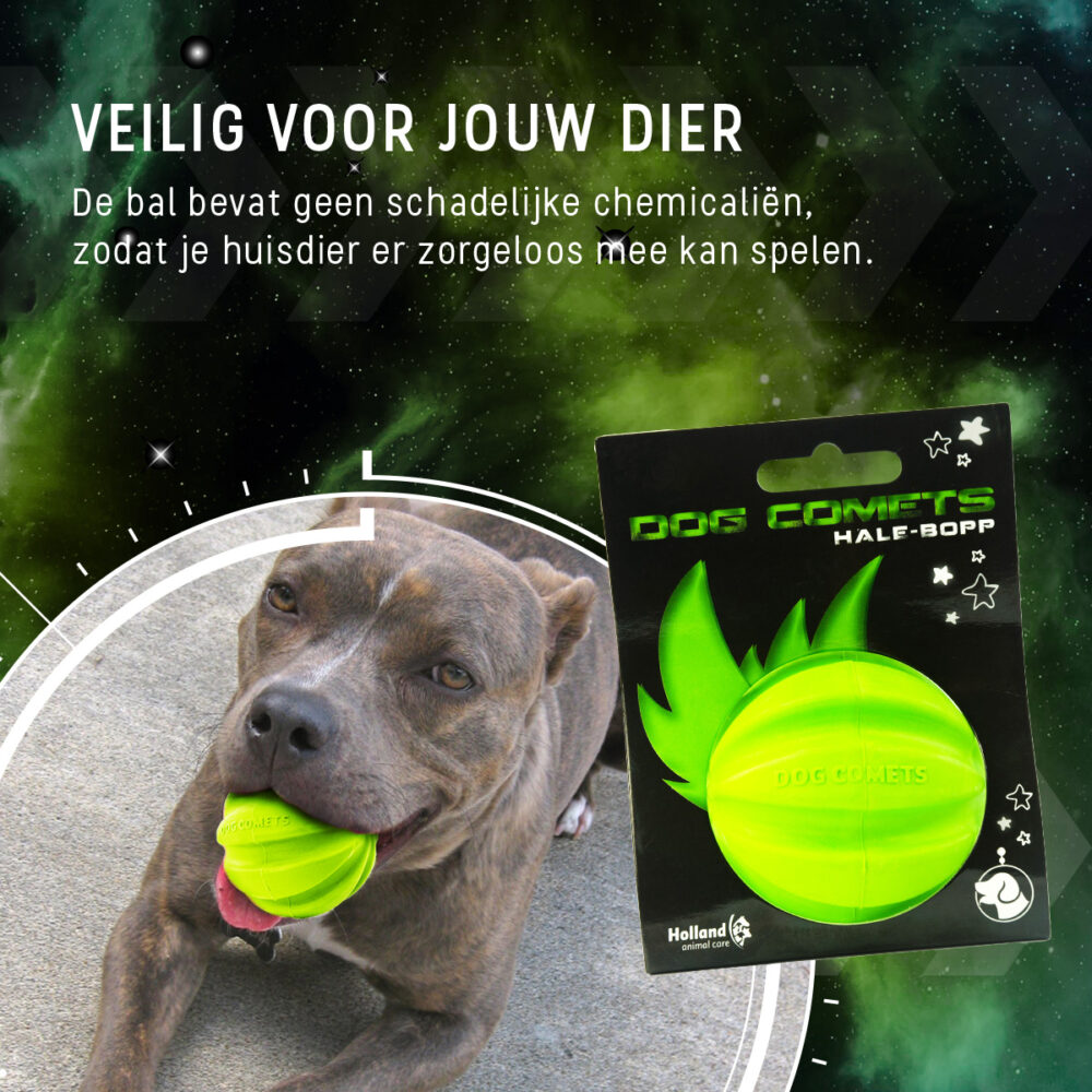 Dog Comets Hale Bopp Groen