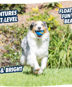 Chuckit! Ultra Squeaker Ball M (1-pack)