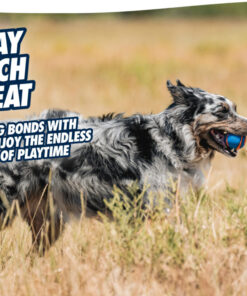 Chuckit! Ultra Squeaker Ball L (1-pack)