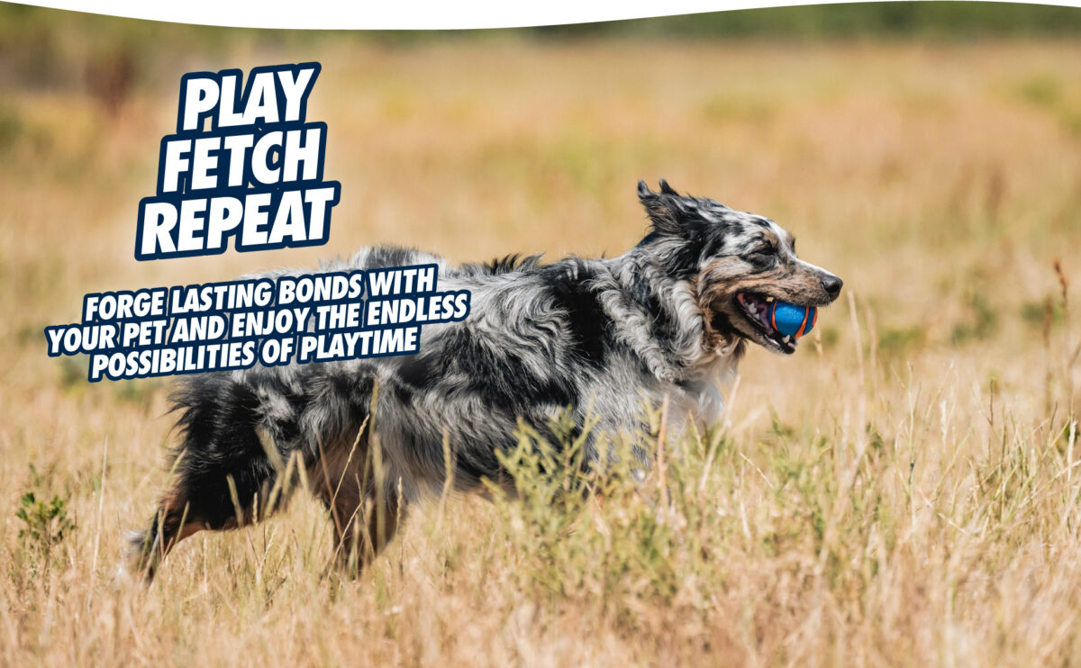 Chuckit! Ultra Squeaker Ball L (1-pack)