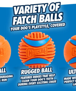 Chuckit! Fetch Ball S (2-pack)
