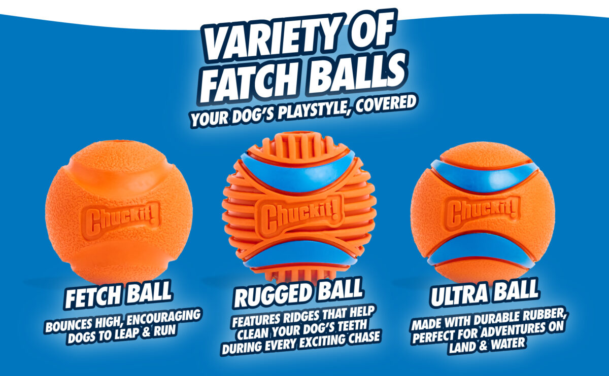 Chuckit! Fetch Ball L