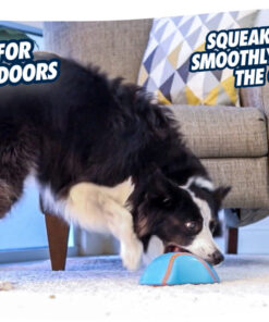 Chuckit! Indoor Super Slider