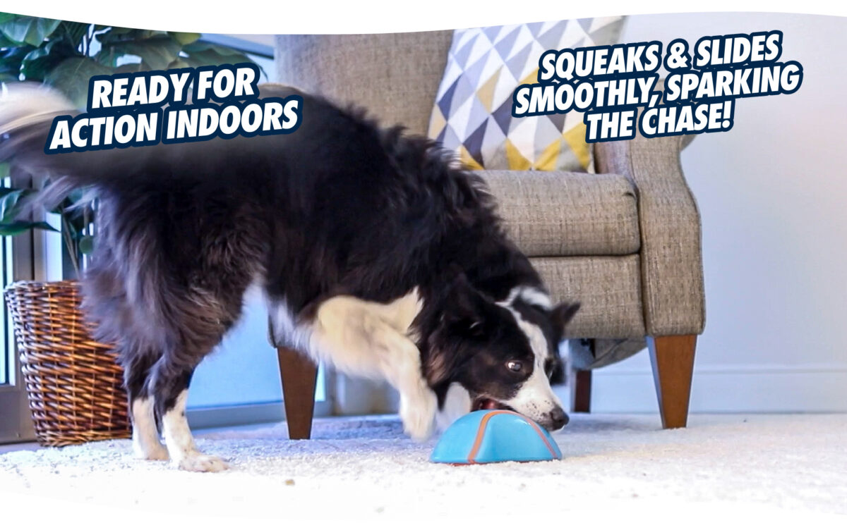 Chuckit! Indoor Super Slider