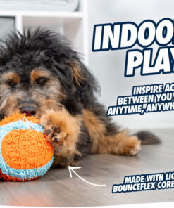 Package deal Chuckit Indoor Fetch Toys