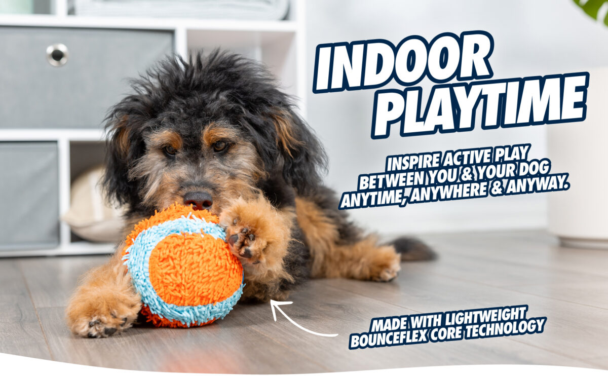 Package deal Chuckit Indoor Fetch Toys