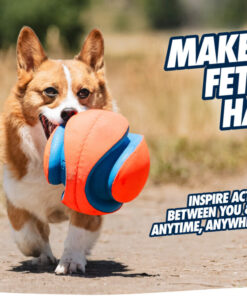 Chuckit! Kick Fetch Dog S
