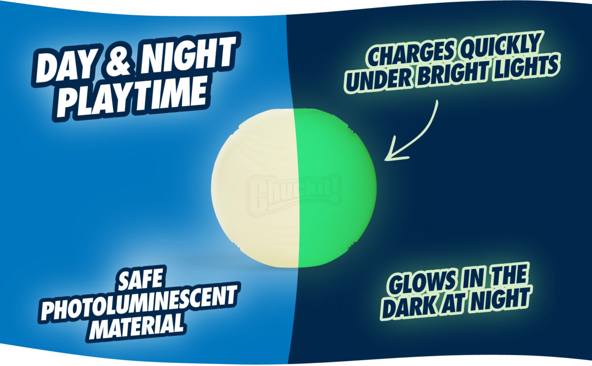 Chuckit! Max Glow M