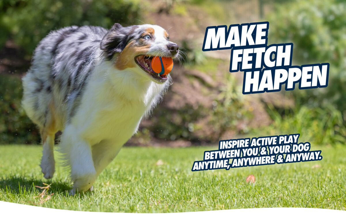 Chuckit! Max Glow Ultra Squeaker Ball M