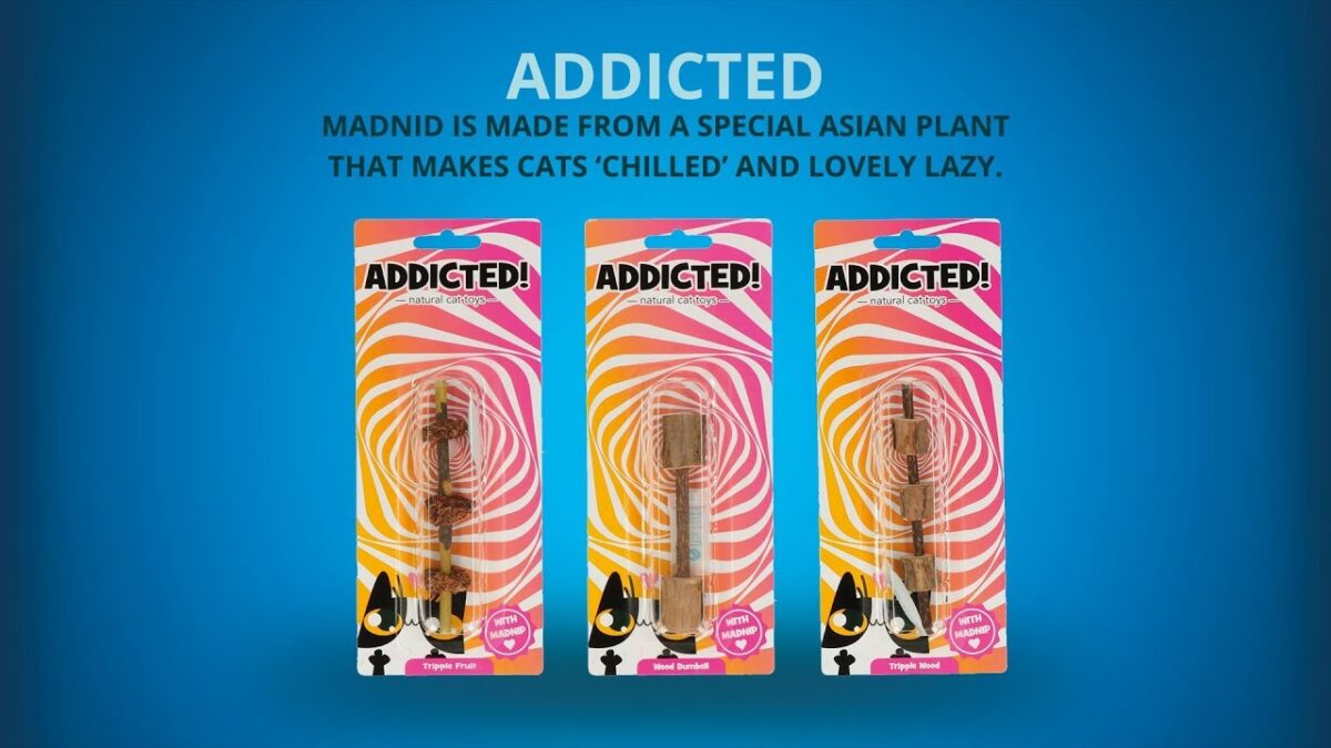 Addicted! Dumbell