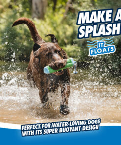 Chuckit! Amphibious Bumper M