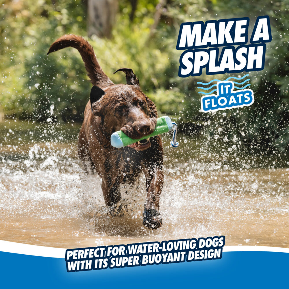 Chuckit! Amphibious Bumper M