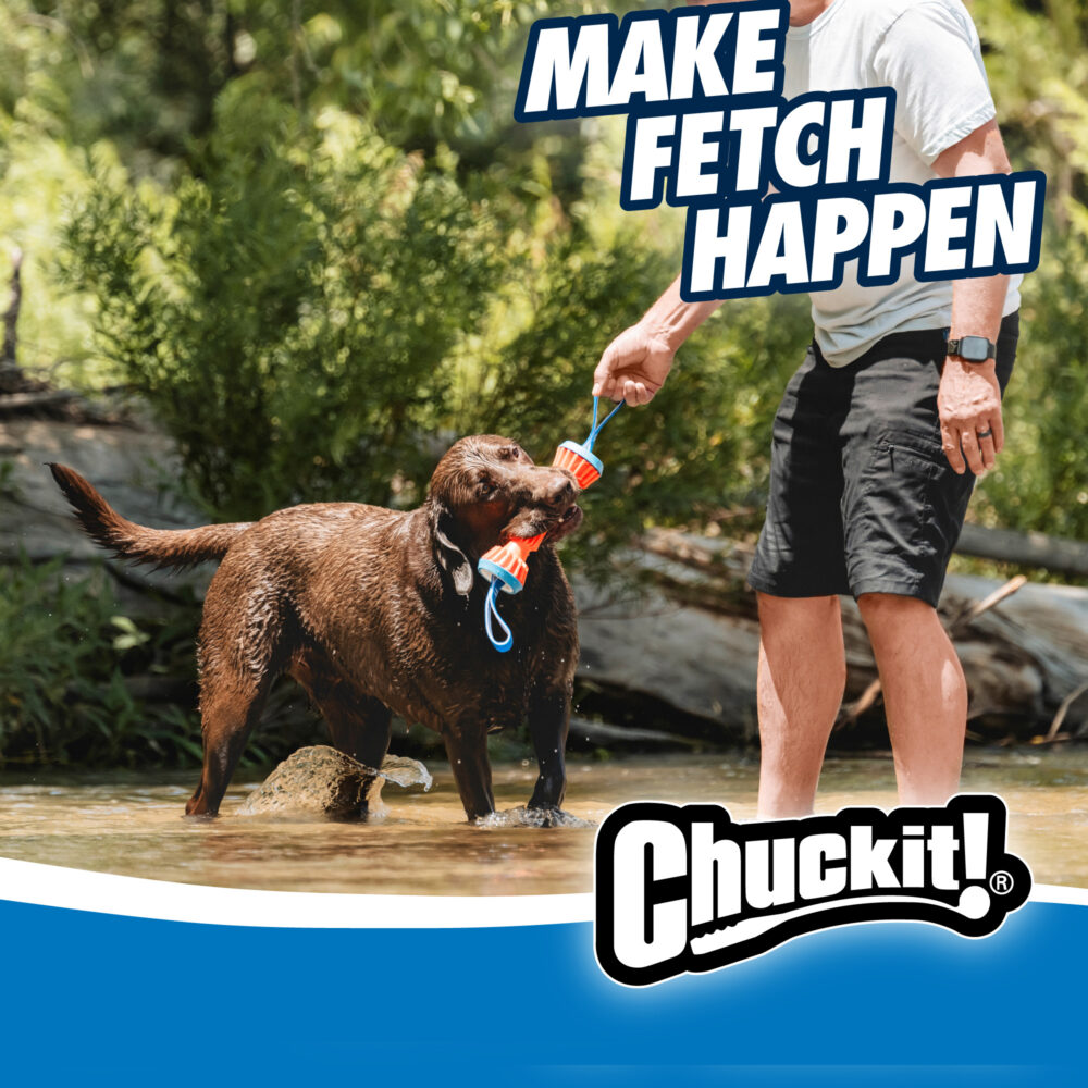 Chuckit! Rugged Bumper S
