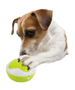 AFP Interactives - Dog Interpreter - Afbeelding 3