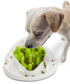 AFP Interactives - Food Maze - Afbeelding 6
