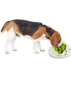 AFP Interactives - Food Maze - Afbeelding 3