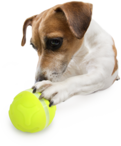 AFP Interactives - Lucky Treat with Rolling Ball - Afbeelding 6