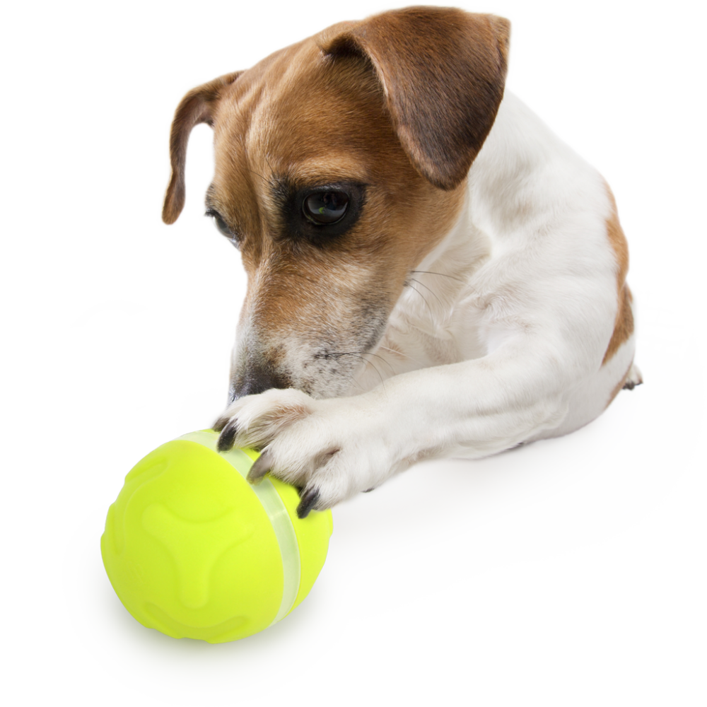 AFP Interactives - Lucky Treat with Rolling Ball - Afbeelding 6