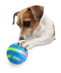 AFP Interactives Motion Activated Action Ball - Afbeelding 5
